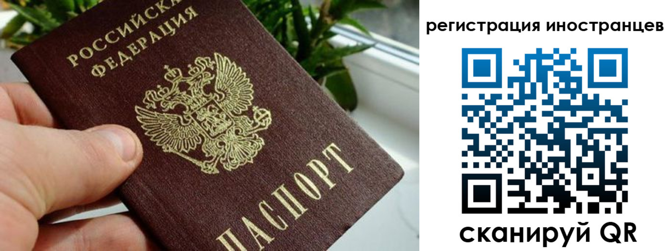 временная прописка в Мурманске